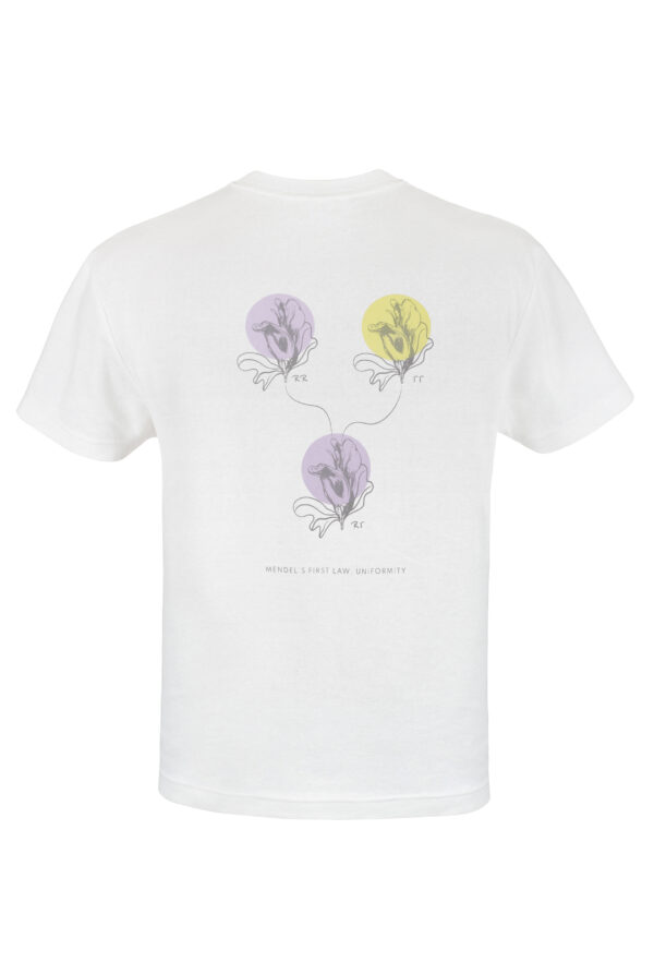 Camiseta Designce Biología, Genética o ley de mendel